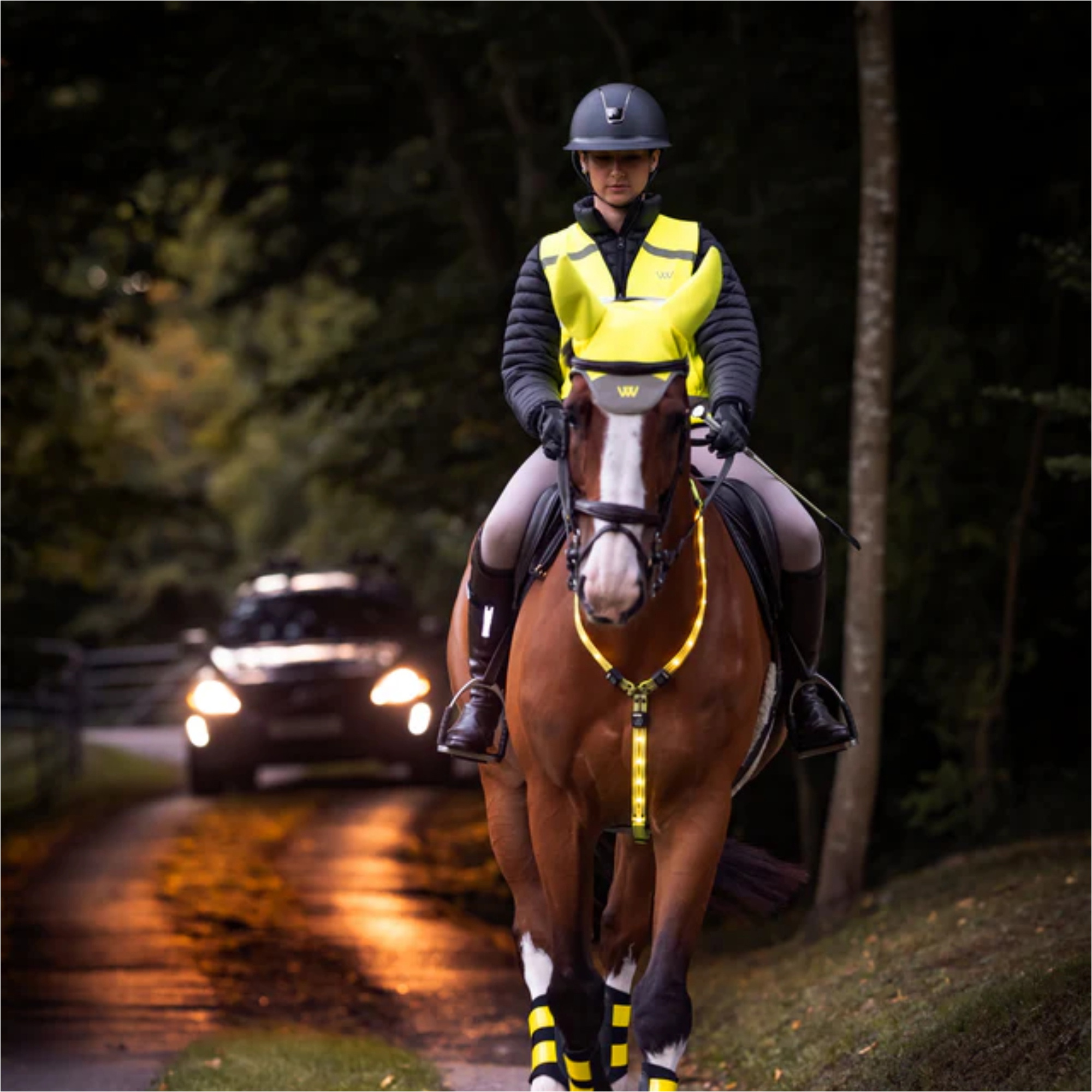2025 Woof Wear 3-In-1 Rider Safety Lights WS0048 - Red / White